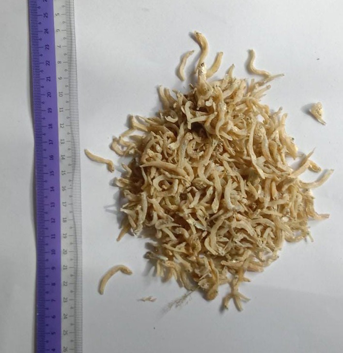 Ikan Bilis Mata Biru - 1 kg
