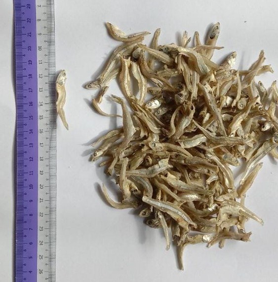 Ikan Bilis Bulat Sedang - 1 kg