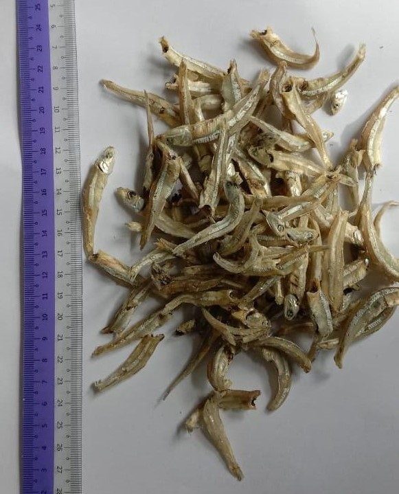 Ikan Bilis Bulat Kecil - 1 kg