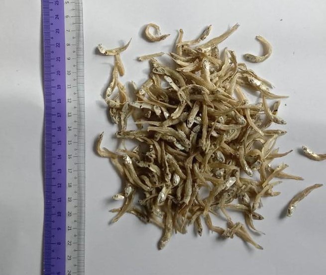 Ikan Bilis No 2 - 1 kg