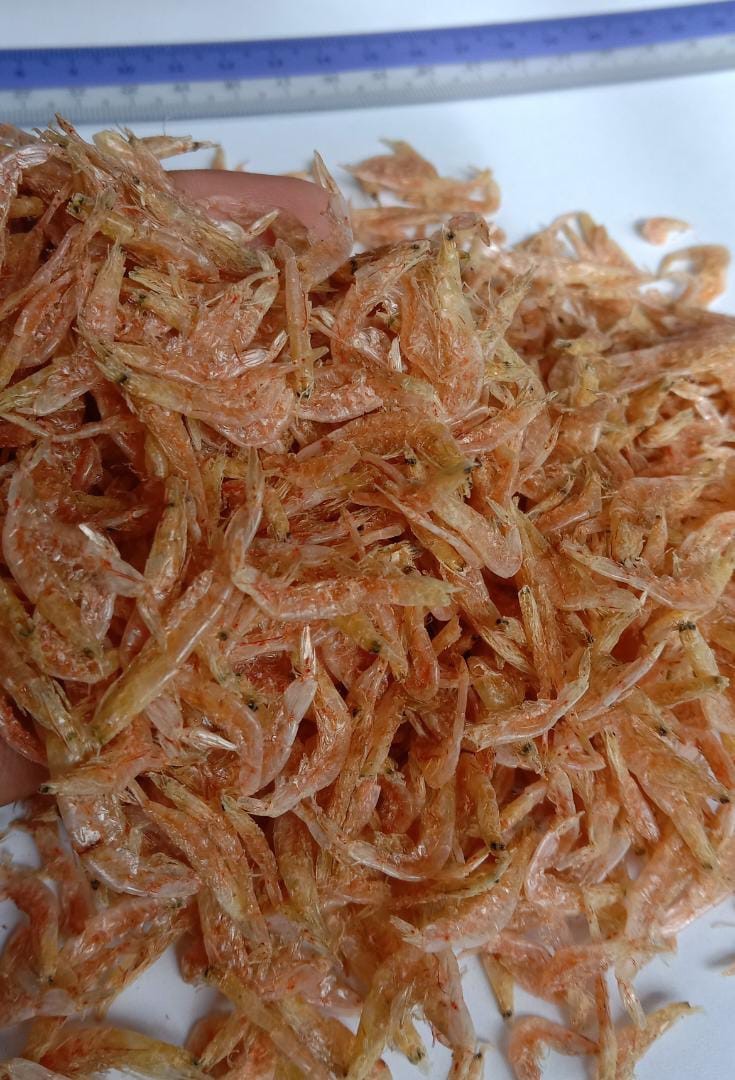 Bubuk - Borong 5 kg